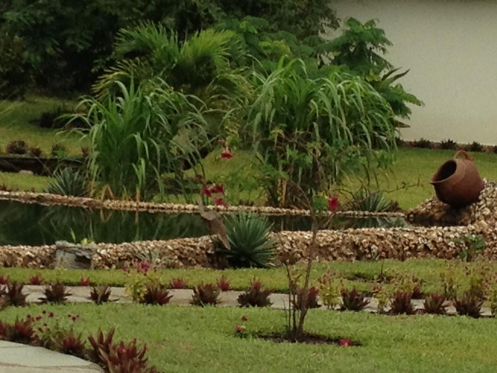 Willa Marula Park Diani Beach Pokój zdjęcie