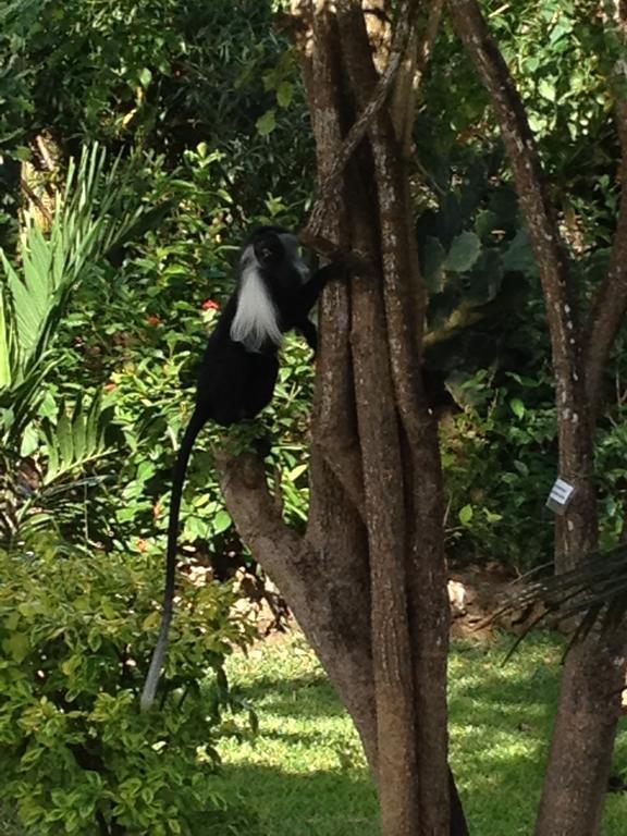 Willa Marula Park Diani Beach Pokój zdjęcie